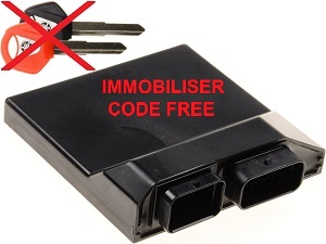 Yamaha ECU ECM Steuergerät Wegfahrsperre reset / code frei